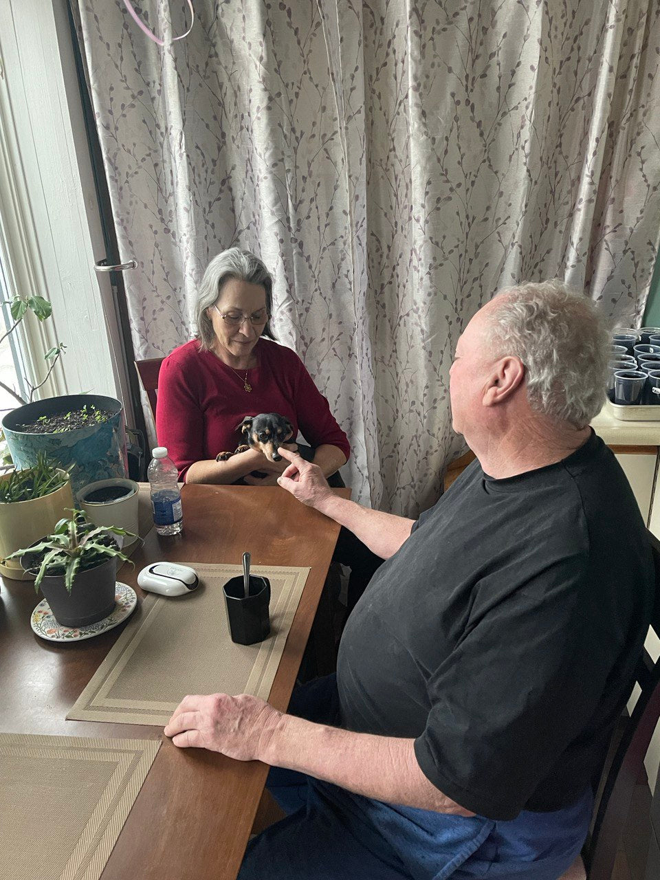 Stay Bite-Free Naturally: Chemical-Free Mosquito Repellent Solutions.